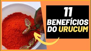 11 BENEFÍCIOS DO URUCUM PARA SUA SAÚDE  REI DO NATURAL [upl. by Karlotta]