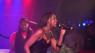 ALAINE live in Vienna 20140922 [upl. by Luella]