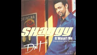 Shaggy It wasnt me Lyrics [upl. by Aicenek957]