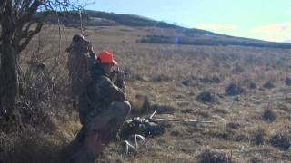 Hunting Whitetail Deer Alberta Canada Winchesters World Of Whitetails With Willow Creek Outfitters [upl. by Laeno42]