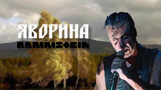 Rammstein x Степан Гіга  ЯВОРИНА by MONROTE [upl. by Euseibbob]