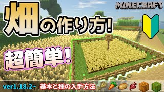 【マイクラ】畑の作り方と種の集め方！【初心者講座】Minecraft 【統合版PCPS4XboxスイッチSwitchスマホPE】 [upl. by Rebel]