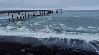 Pacifica Pier 🌊🦀 December 11 2023 [upl. by Oiratnom946]