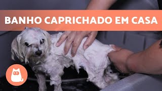 Como dar banho em CACHORRO em CASA 🐶🚿 Técnica Profissional [upl. by Annaiviv]