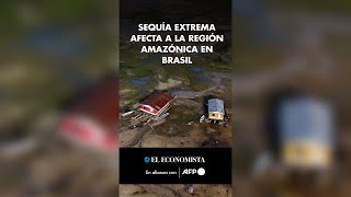 Sequía extrema afecta a la región amazónica en Brasil [upl. by Kalila]