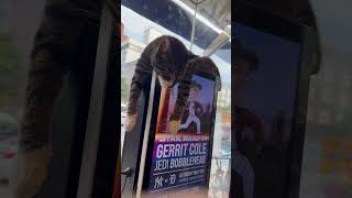 Bodega ATM Cat bodegas nyc cat newyork [upl. by Ahsehat]