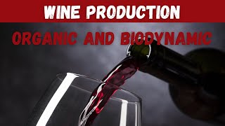 ORGANIC AND BIODYNAMIC WINE PRODUCTION 🍷 [upl. by Harned]