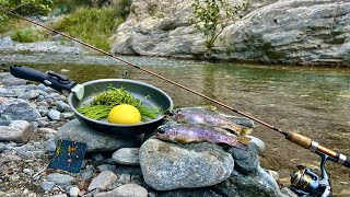 Mountain Trout Catch amp Cook GOURMET STYLE  Fishing Dry Flies with a Spinning Rod for Trout [upl. by Wooldridge7]