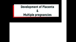 Laennec Placenta [upl. by Hairahcaz320]