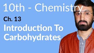 Class 10 Chemistry Chapter 5  Introduction to Carbohydrates  10th Class Chemistry Chapter 5 [upl. by Anohs691]