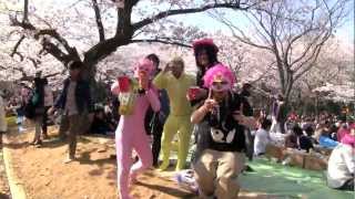 Hanami in Tokyo  Yoyogi Park Fun [upl. by Chloris929]