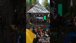 Shambhala 2023 Fractal opening run Featuring Freddy J [upl. by Reiss]