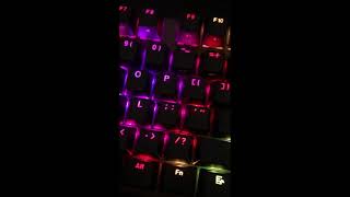 Tecware Phantom 104 sound test Wraith Brown Switches [upl. by Paige]