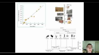 Molecular Clocks Part 1 [upl. by Inalem]