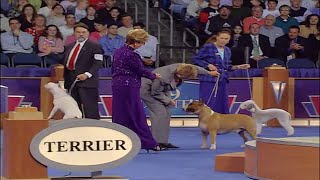 2005 AKCEukanuba National Championship Terrier Group Final [upl. by Aaren]