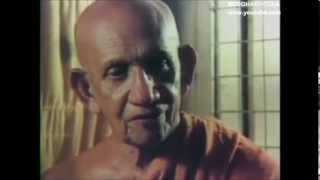 Buddhism in a nutshell  venBalangoda Ananda Maitreya Thero [upl. by Gilson]