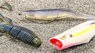 Top 5 Baits For Pond Fishing [upl. by Oxley]