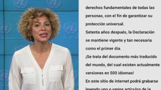 LOS DERECHOS HUMANOS DE LA PRIMERA SEGUNDA TERCERA Y CUARTA GENERACION [upl. by Edbert]