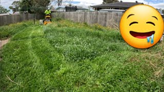 Perfect Mowing of Backyard Meadow [upl. by Lance]