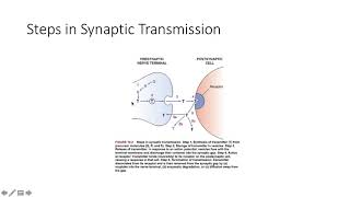 Introduction to Neuropharmacology [upl. by Yemar434]