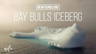 Bay Bulls Newfoundland Iceberg in the Fog [upl. by Analed338]