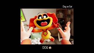 DOG vs CAT  POPPY PLAYTIME CHAPTER 3  GHS ANIMATION [upl. by Antonetta]