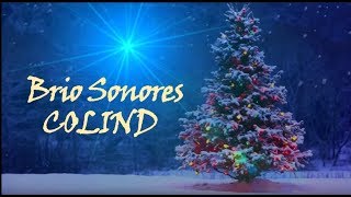 Brio Sonores  Colind lyrics [upl. by Novihs]