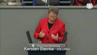 Kersten Steinke DIE LINKE Soziale Belange bei Petitionen wieder an erster Stelle [upl. by Les223]