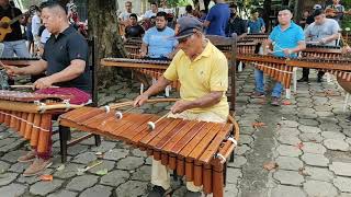 Aquella Indita Rondalla de Marimbas en Monimbo [upl. by Rorrys]