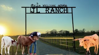 Ranch Life [upl. by Yelkreb339]