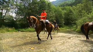 Sommerfilm Wellnesshotel Schwarzenstein Ahrntal Südtirolwmv [upl. by Aicinoid355]