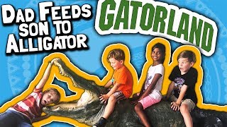 Siblings watch as Dad Feeds Son to Alligator at Gatorland Orlando Florida [upl. by Surovy]