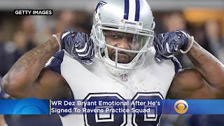 I Cant Stop Crying  WR Dez Bryant Emotional After Hes Signed To Ravens Practice Squad Report S [upl. by Ileek810]