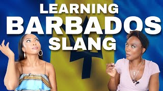 Learning Barbados Slang Part 1 USA vs Barbados Bajan Slang  US Slang [upl. by Trelu]