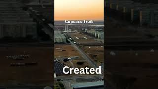 Cupuacu fruit from Brazil rare fruits around the world health and wellness [upl. by Hgielek]