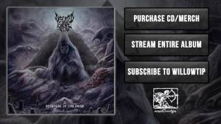 Defeated Sanity  The Bell [upl. by Thurlough]