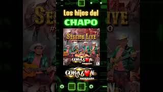 CORAZON SIERREÑO 🤠 Los Hijos del Chapo 👈 [upl. by Llehcal]