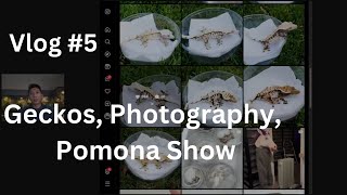 Geckos Photography Pomona Show  Vlog 5 of Zeros Geckos [upl. by Alrahs]