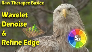 Raw Therapee Basics High ISO Noise Reduction Using Wavelet Levels [upl. by Ponce779]