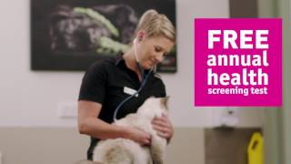 Greencross Vets Dr Kirsty Talks Healthy Pets Plus [upl. by Amarette547]