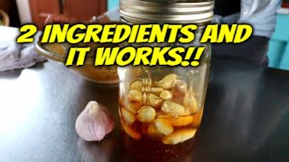 How to make Fermented Honey Garlic  Immune System Booster [upl. by Lindbom]