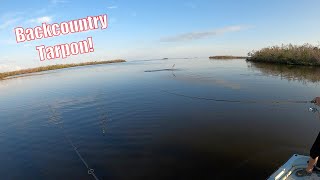 Redfish Snook And Tarpon In Pine Island FL [upl. by Harrow739]