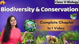 Biodiversity and Conservation Class 12 One Shot  All Theory amp PYQs  NEET Biology  Ritu Rattewal [upl. by Bilak693]