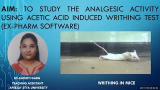 To study analgesic activity with acetic acid induced writhing test ExPharm software [upl. by Idham704]