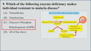 MCQs on Hexose Monophosphate Shunt HMP shunt  Pentose Phosphate Pathway I 15 MCQs for Practice [upl. by Nauqe]