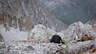 Stock footage  A backpack rests among the rocks [upl. by Shira]