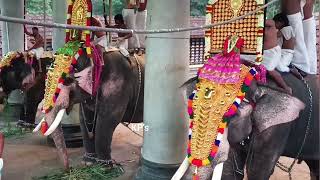 Melam4th dayKazhcha SeeveliShivaratri Mahotsavam 2024Thiruvanchikulam Mahadeva Temple 4 [upl. by Piegari]