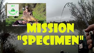 LA quotMISSION SPECIMENSquot en quête des carpes de 20kg en étang pendant 2 jours [upl. by Adnilym]