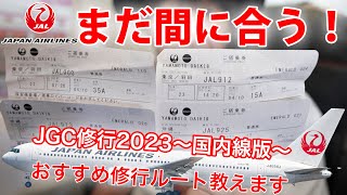 【2023年中にJGC取得希望者必見！】たったの5日間！土日だけでも使える、年内の国内線JGC修行で安価でおすすめルートを教えます！ [upl. by Alessig329]