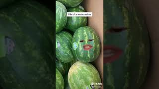 LIFE OF WATERMELON  jimenezzz TikToks Compilation  Angel Jimenez TikToks Shorts TikTokTrends [upl. by Suinuj648]